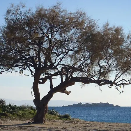 Euro شقة Naxos City